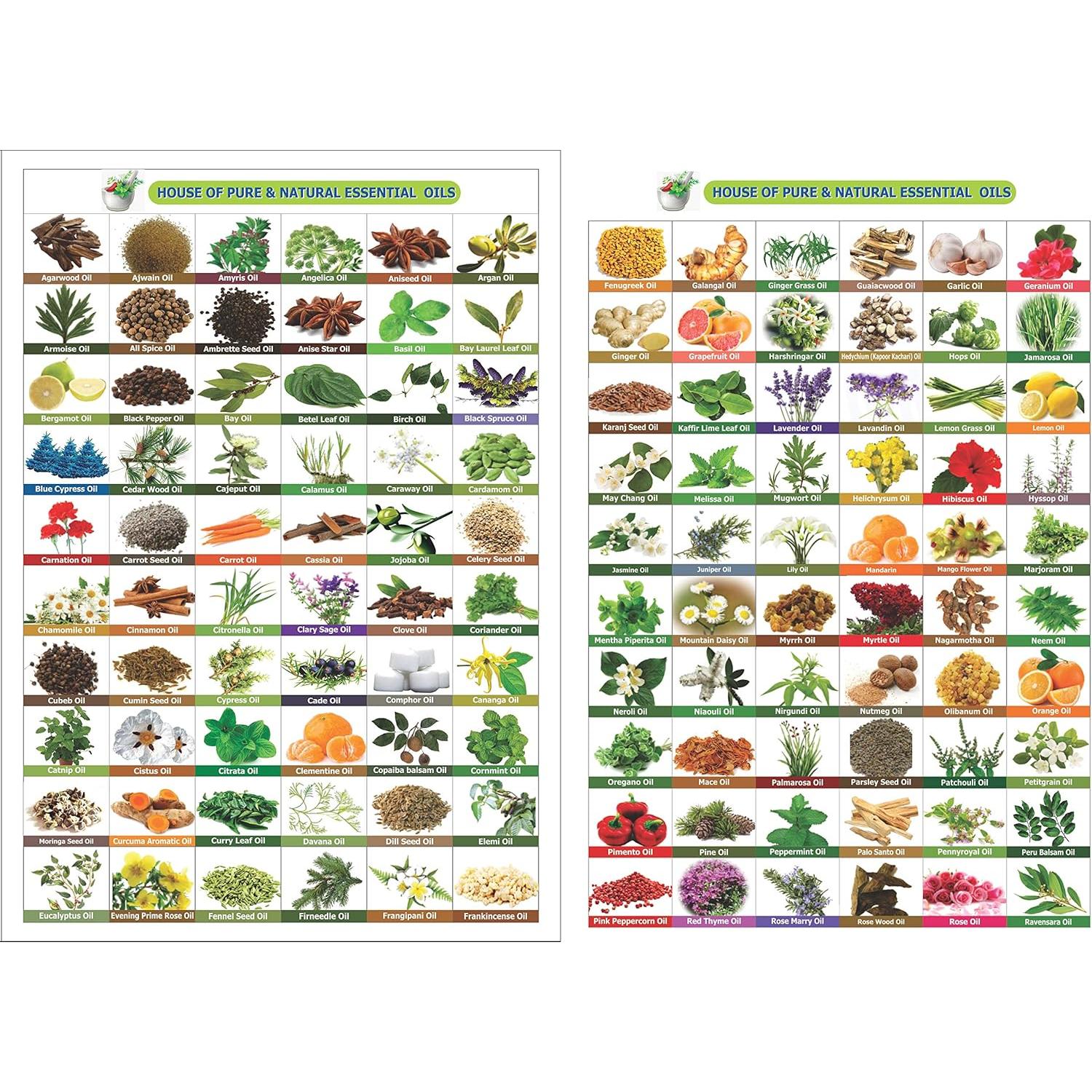 Aceite de Salvia Shikakai 100ml - Puro y Natural