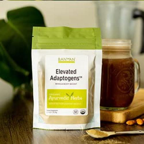 Polvo de Superalimento Orgánico Banyan Botanicals 70g - Moringa, Ashwagandha, Tulsi