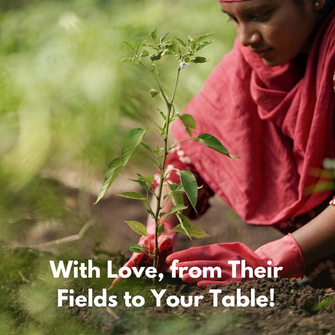 Semillas de Hinojo Orgánicas Tribal Trail 114 g - USDA Certificado