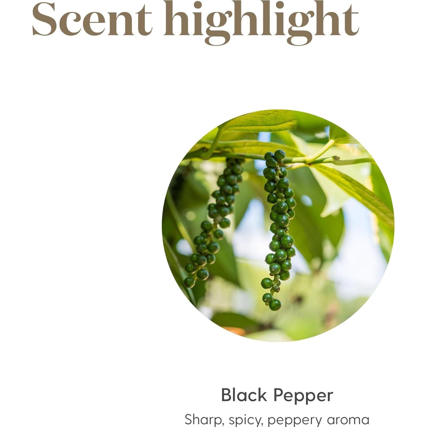 Pimienta Negra Vitalidad Joven Vida 5ml - Sazonador Antioxidante