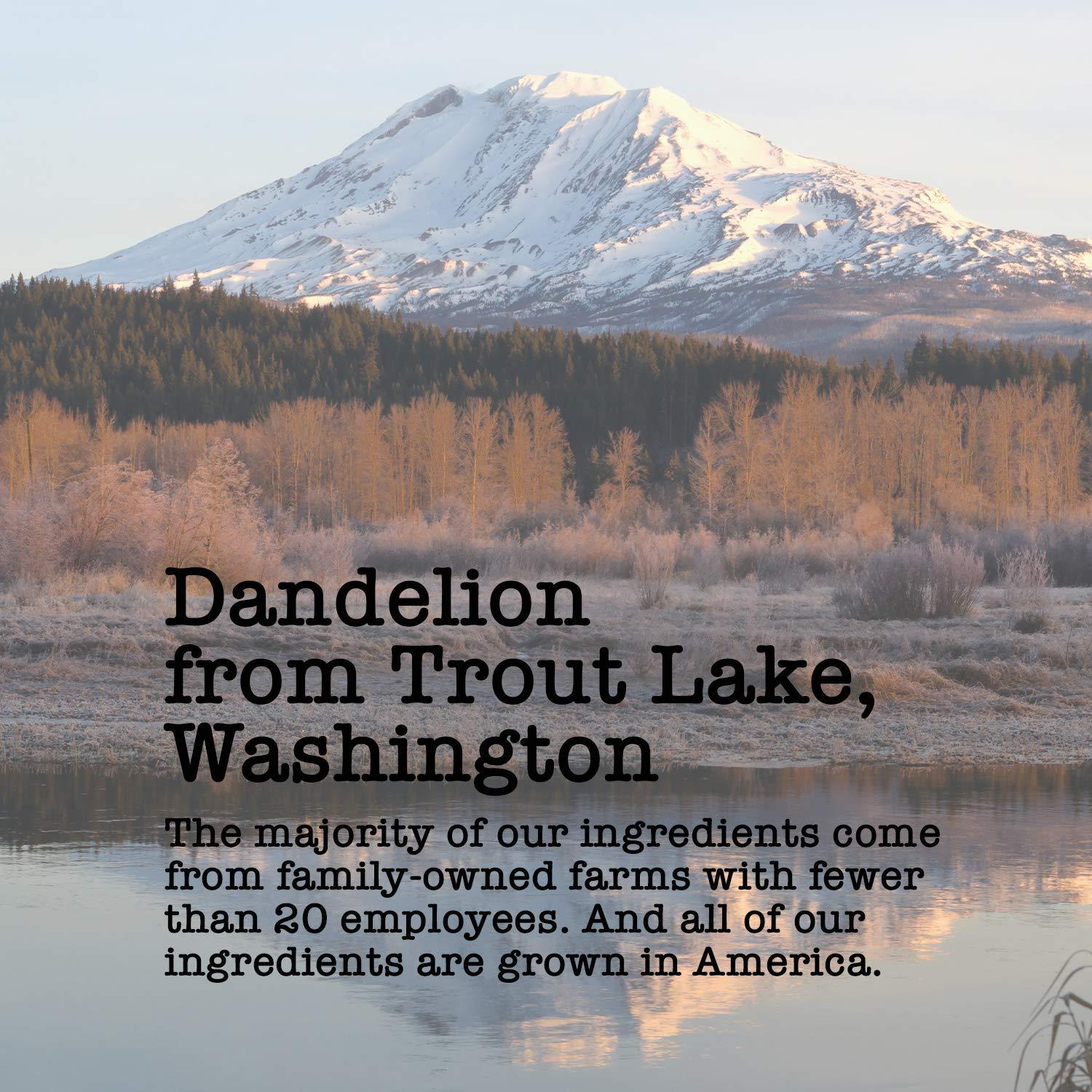 Té Detox Raíz de Diente de León Harts of America 141.75g