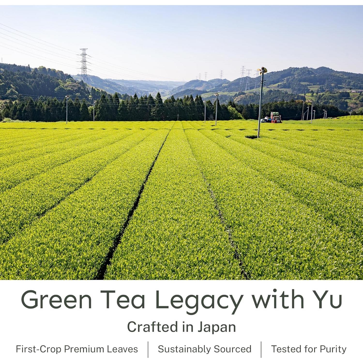 Té Verde Sencha Orgánico Yu Tea, 100 Porciones, 75 g