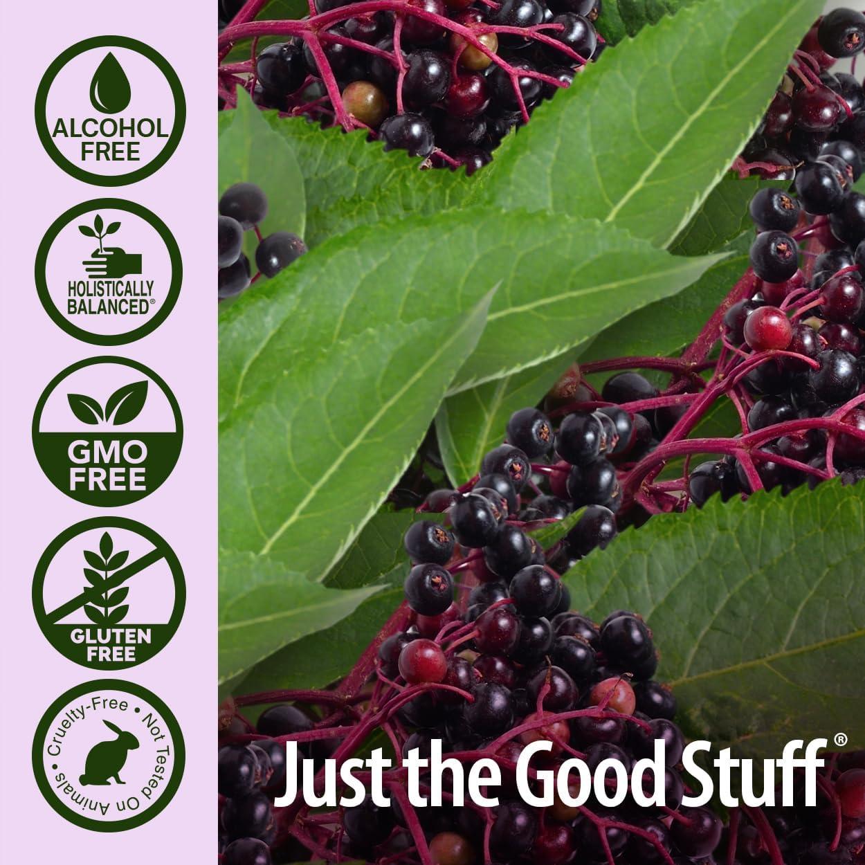 Disparo de Inmunidad Sambucus Nature's Answer 12x2oz Sin Alcohol