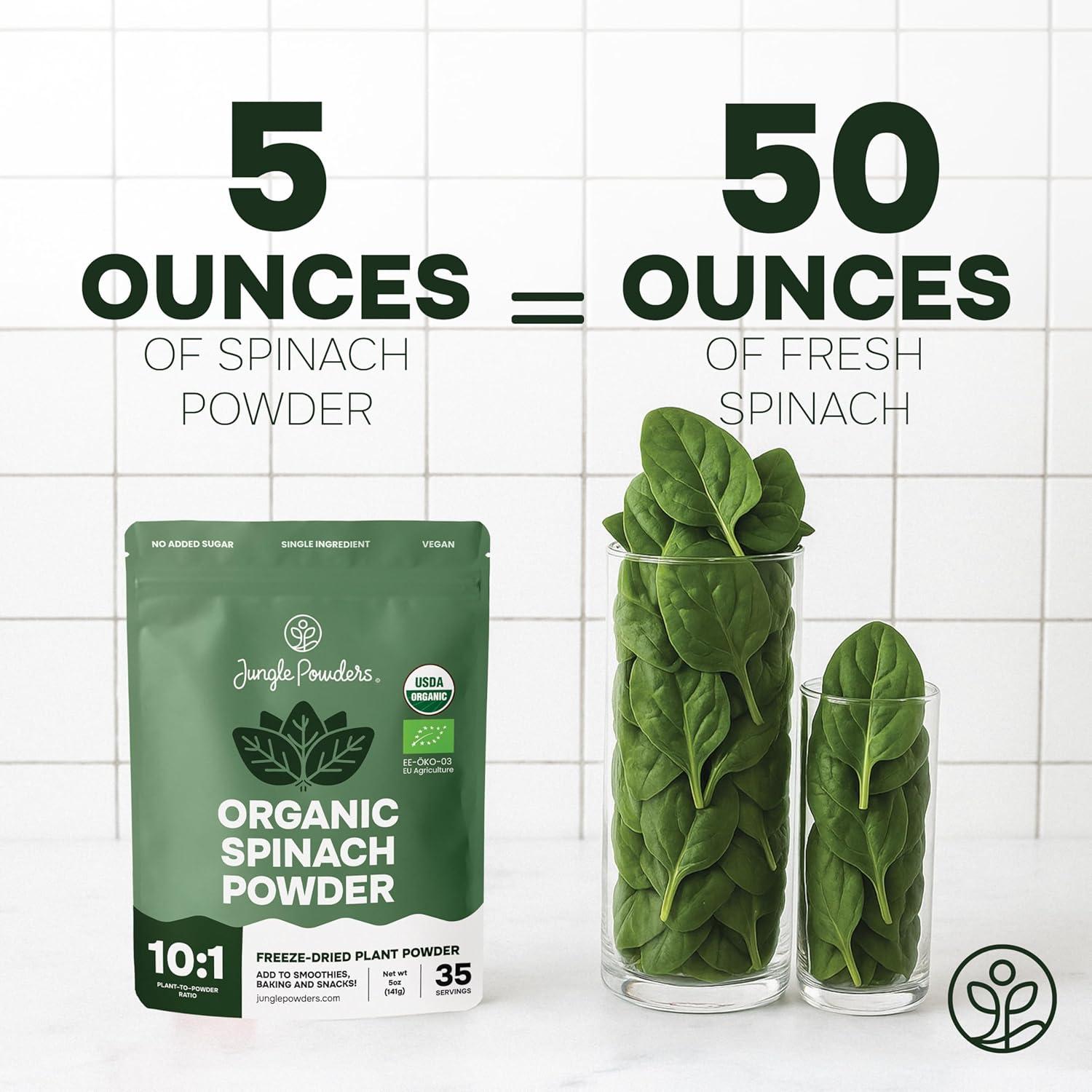 Polvo Orgánico de Arándano Silvestre y Espinaca Jungle Powders 283g