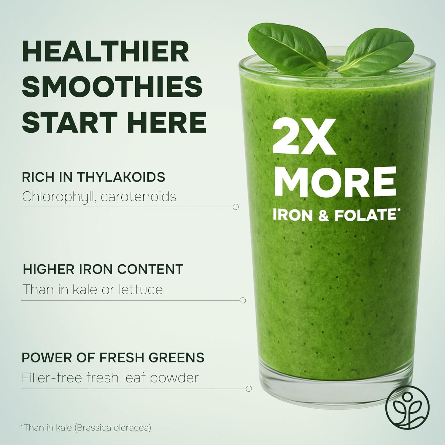 Polvo Orgánico de Arándano Silvestre y Espinaca Jungle Powders 283g