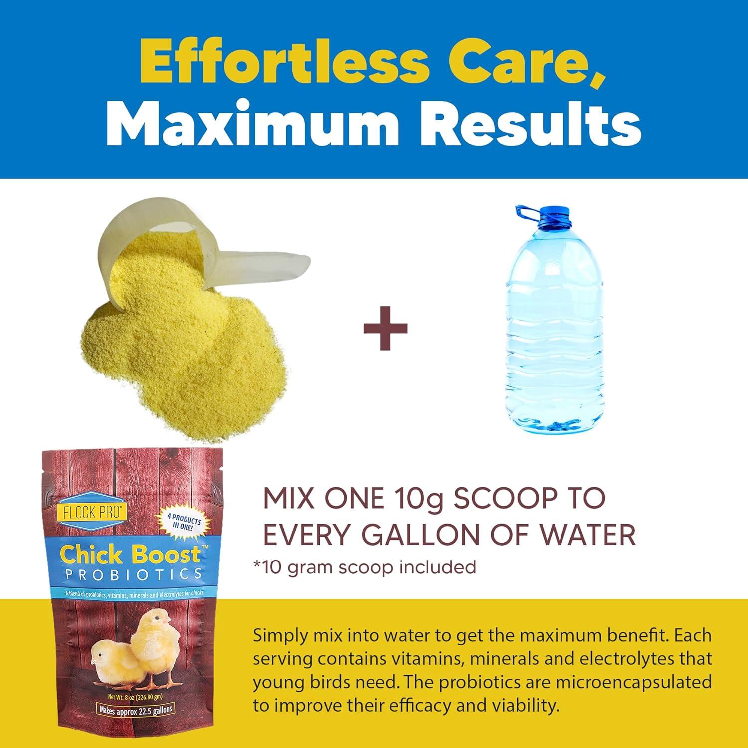 Probiotico Chick Boost PRO Equerry 226.8g - Vitaminas y Electrolitos para Pollos