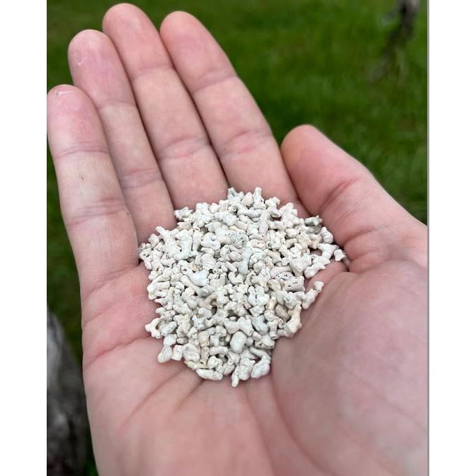 Algas Marinas Calcificadas LitChicks 2.27kg para Gallinas