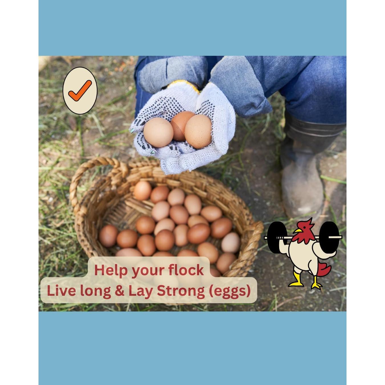 Algas Marinas Calcificadas LitChicks 2.27kg para Gallinas