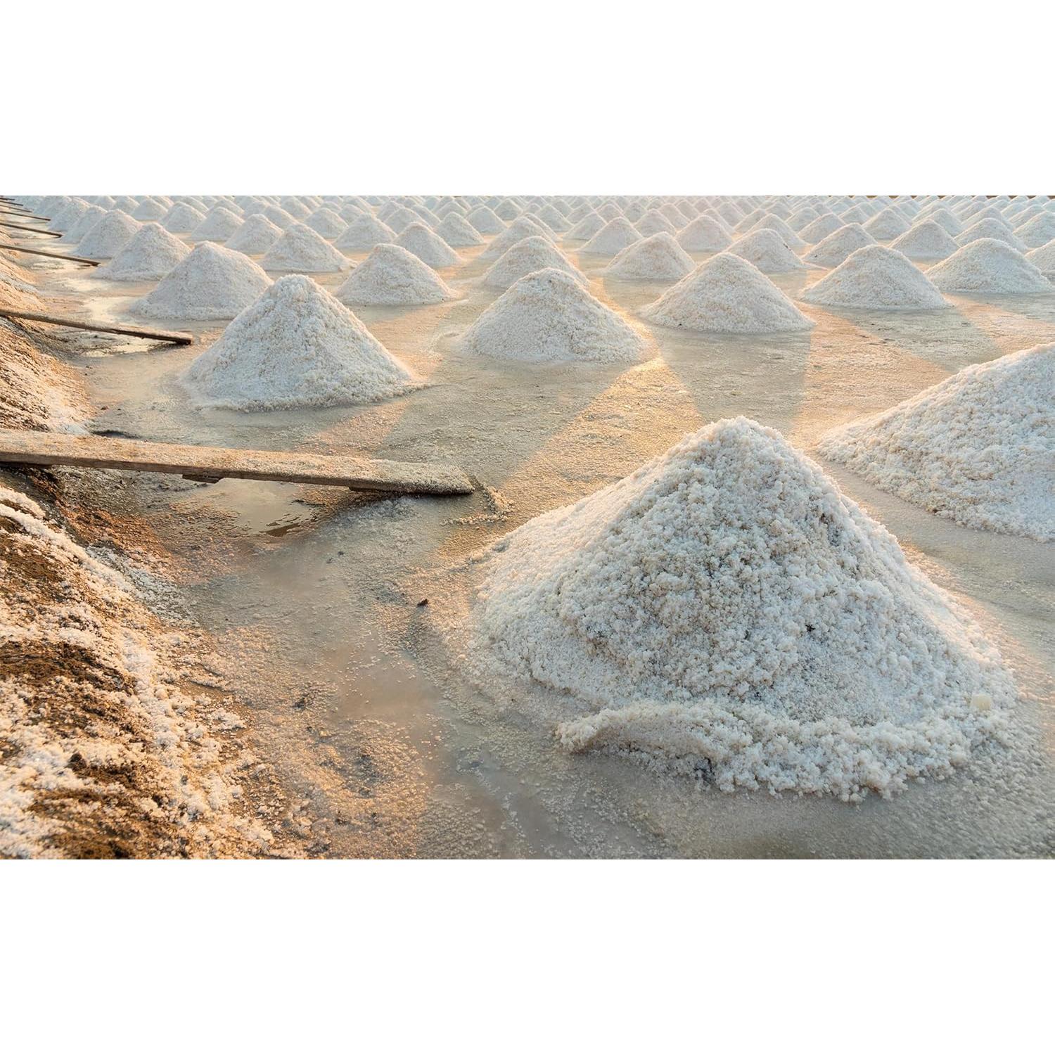 Sal Marina Gruesa Orgánica Lenzo 499g - Cosechada a Mano en Francia