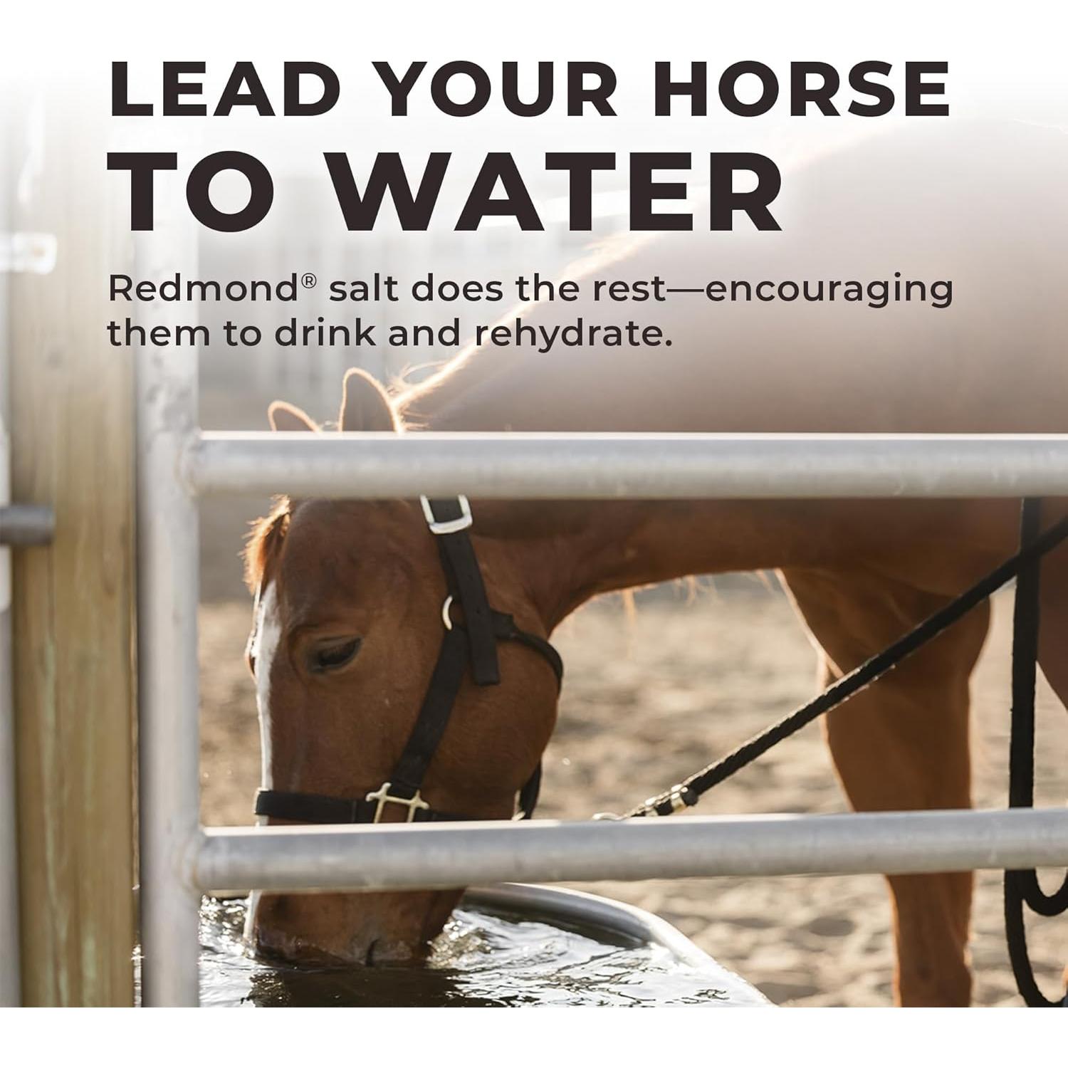 Suplemento de Vitaminas y Minerales para Caballos Redmond 11.34 kg