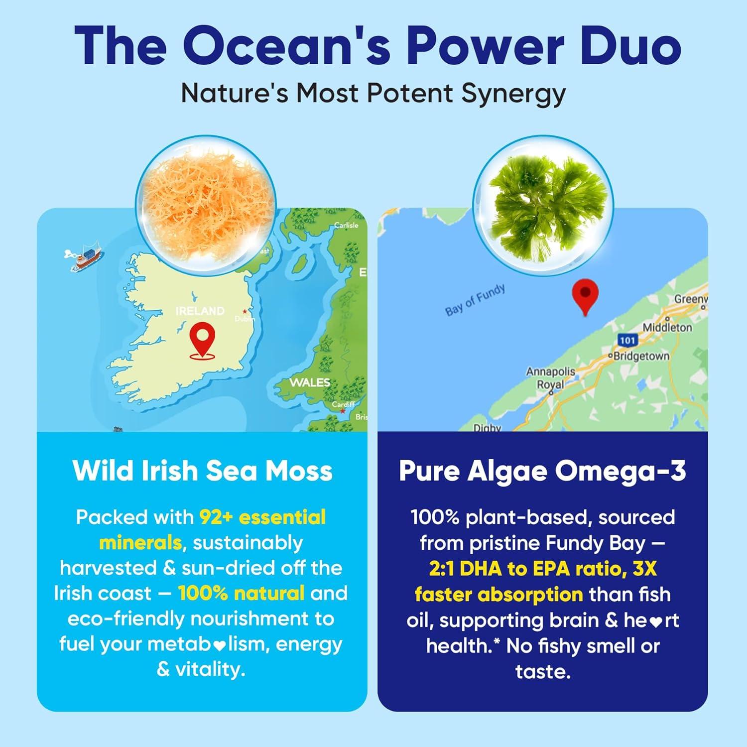 Gomas de Super Greens y Musgo Marino 15-en-1 Orgánico