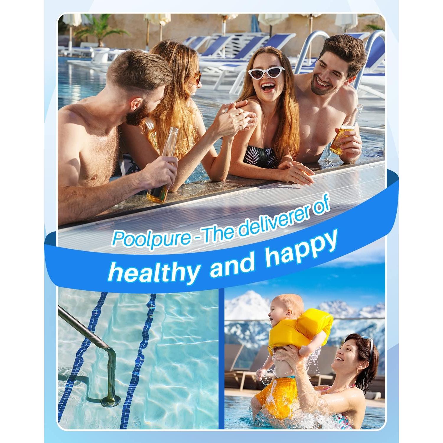 Filtro de Piscina POOLPURE PLF175A 175 ft² Compatible Hayward