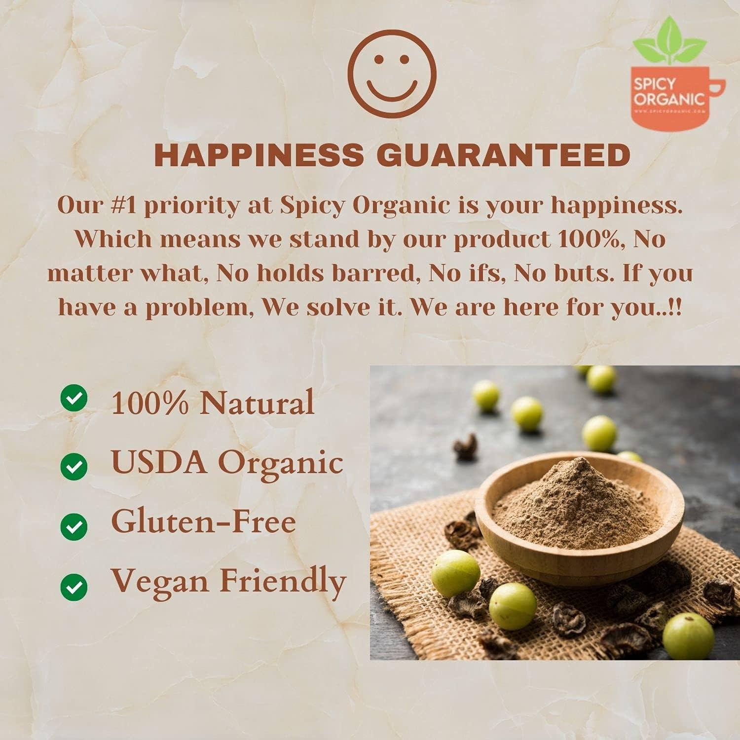 Polvo de Amla Orgánico Spicy Organic 113g - Grosella India