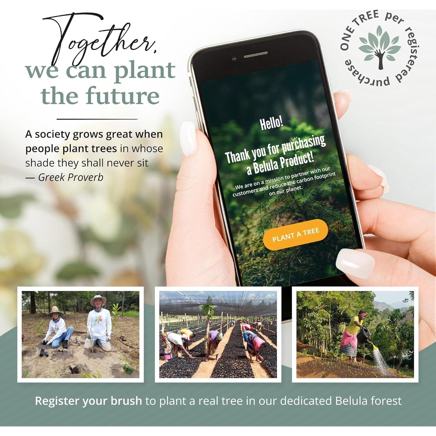 Conjunto de Cepillos Corporales Belula - Exfoliantes Naturales