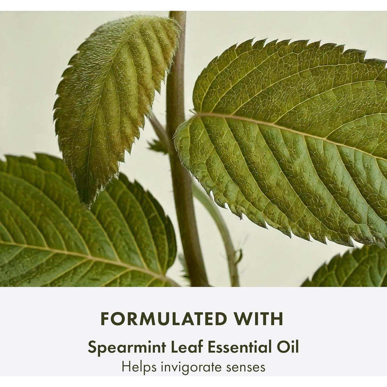 Conjunto de lavado facial Origins Checks and Balances 2 piezas