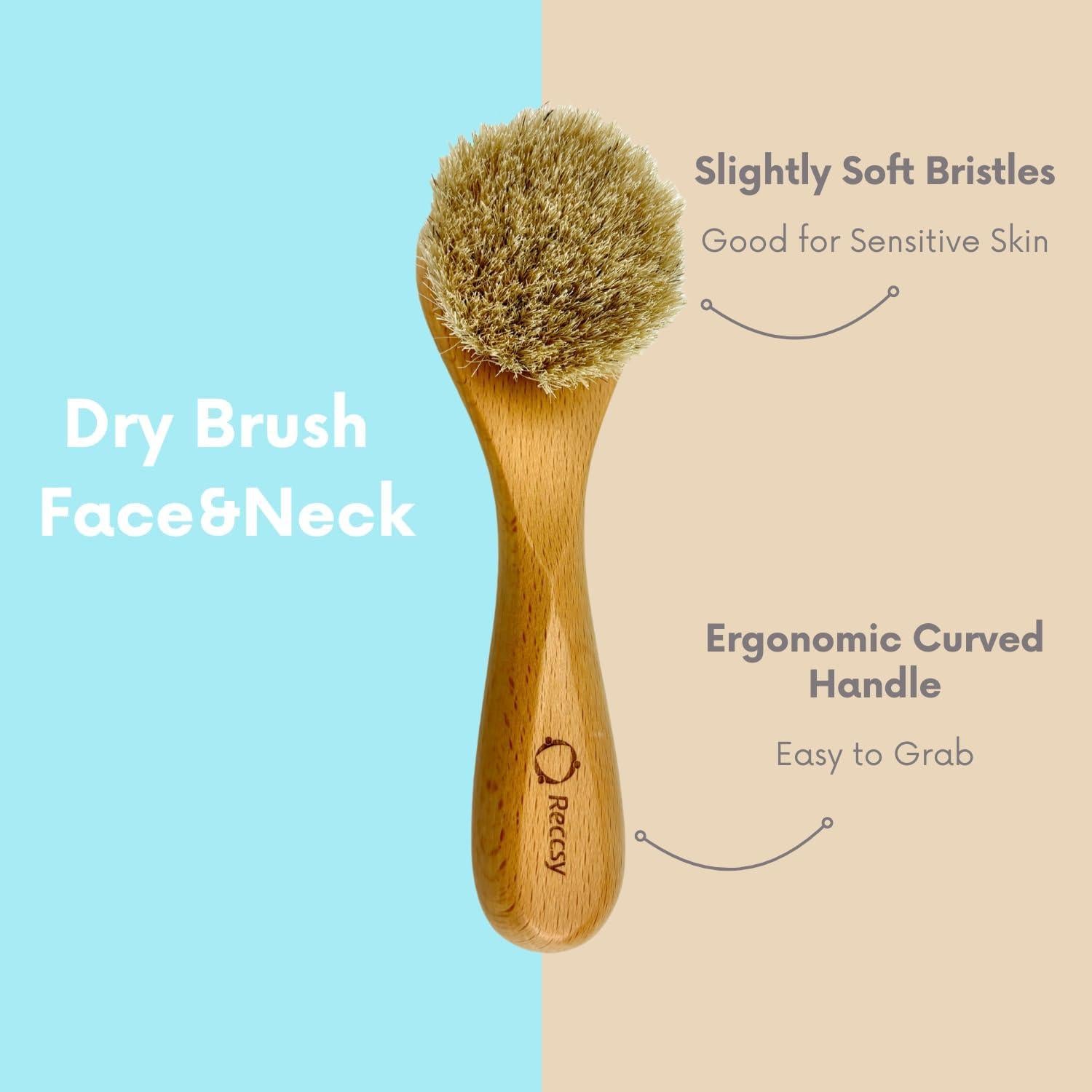 Juego de 4 cepillos de secado y masaje Recurecare - Drenaje linfático