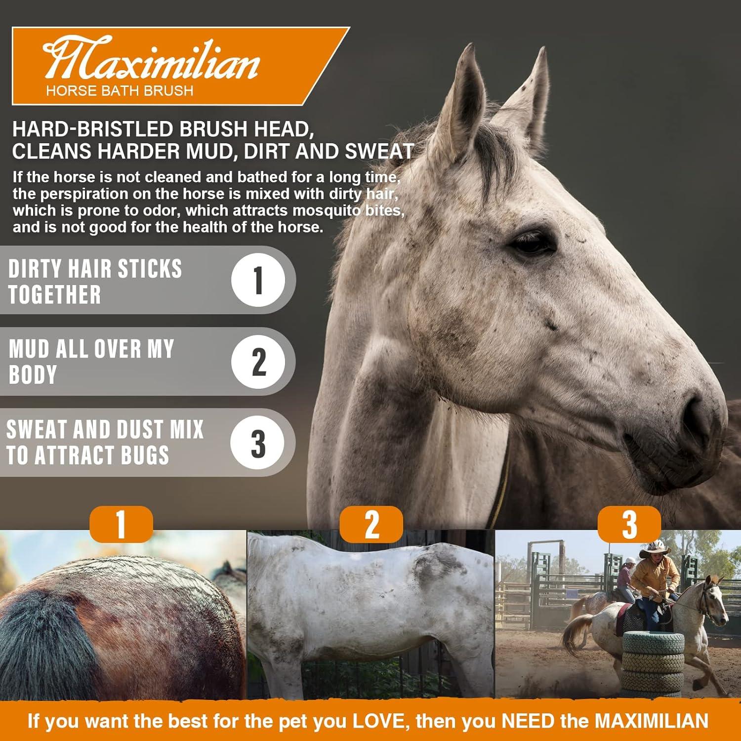 Cepillo de Cuerpo Duro MAXIMILIAN para Caballos - Marrón