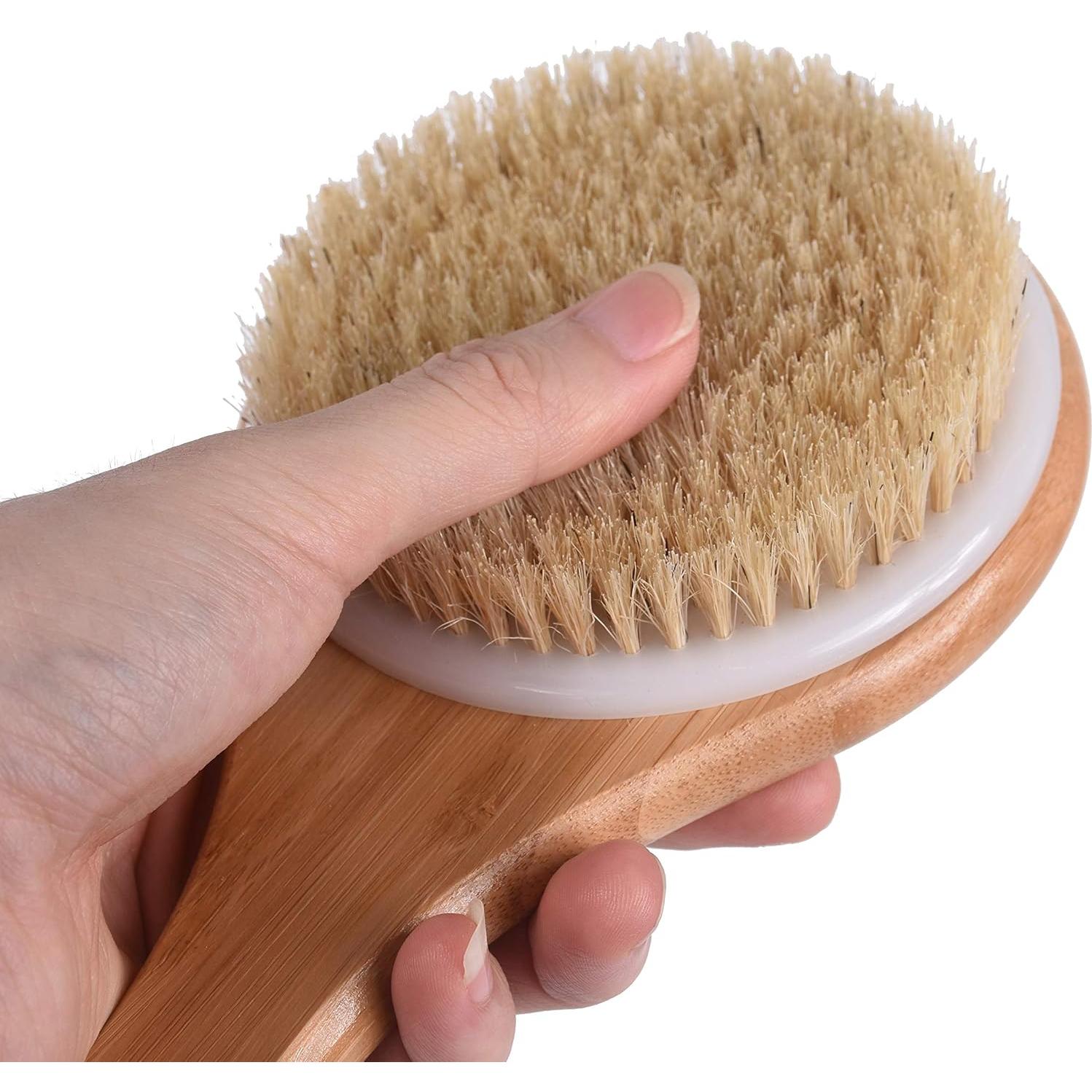 Cepillo de Cuerpo Seco Chikoni con Mango Largo de Madera 39.88 cm