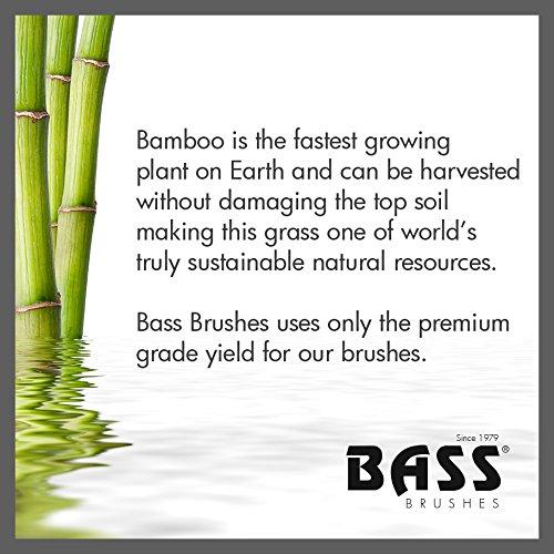 Cepillo Redondo Medio Bass para Brillo y Condición