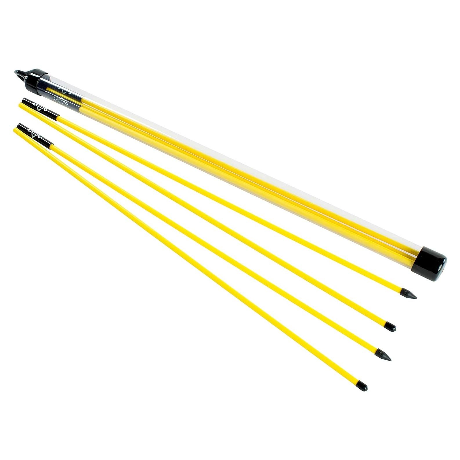 Callaway Alignment Stix - Entrenador de Swing de Golf 122 cm
