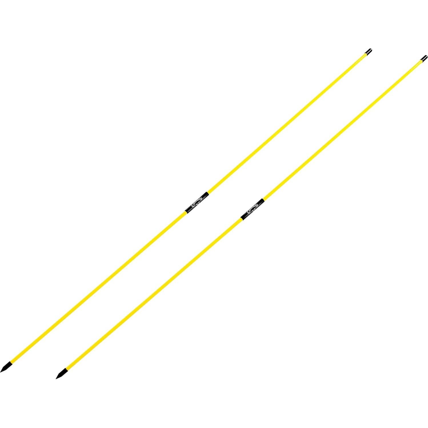 Callaway Alignment Stix - Entrenador de Swing de Golf 122 cm