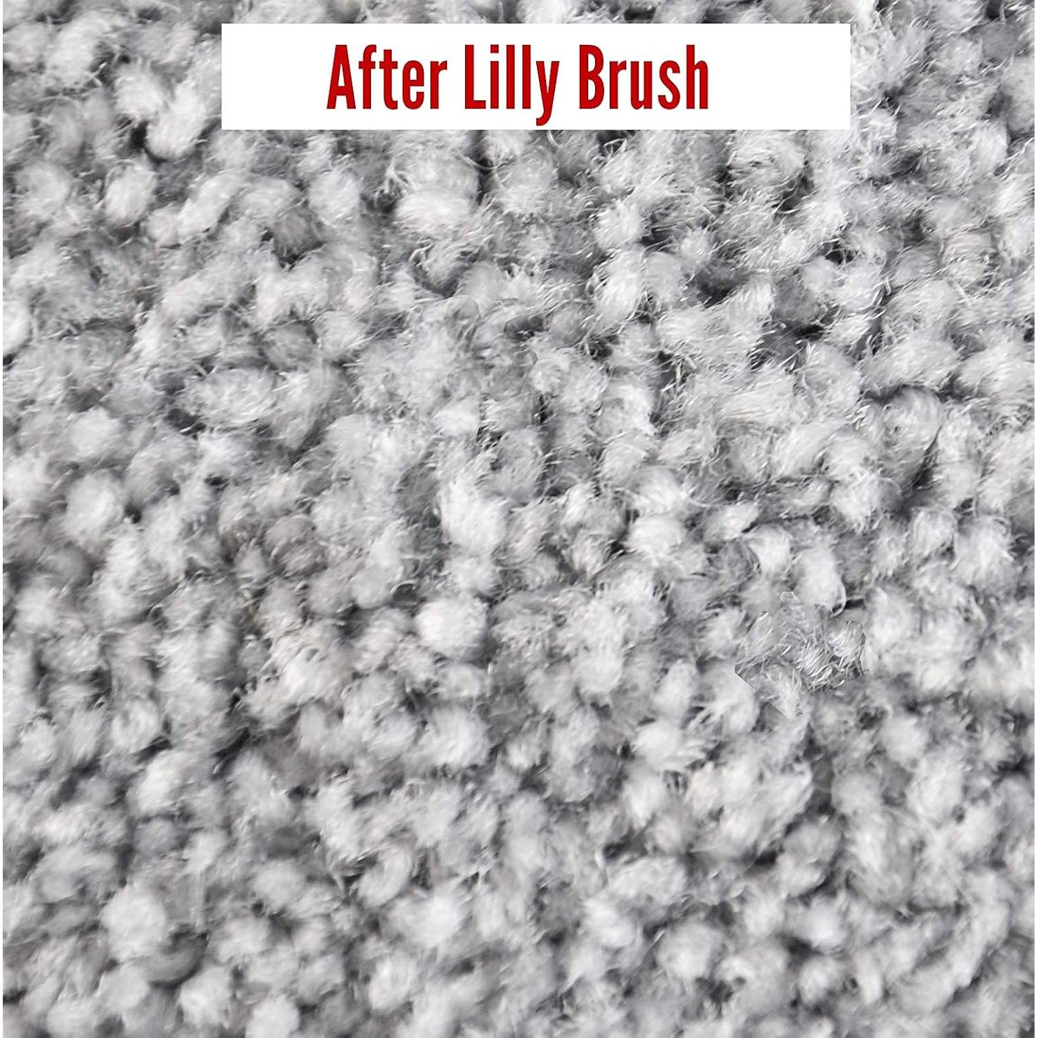 Cabezal Detallador de Pelo de Mascota Lilly Mighty - Limpieza Eficaz