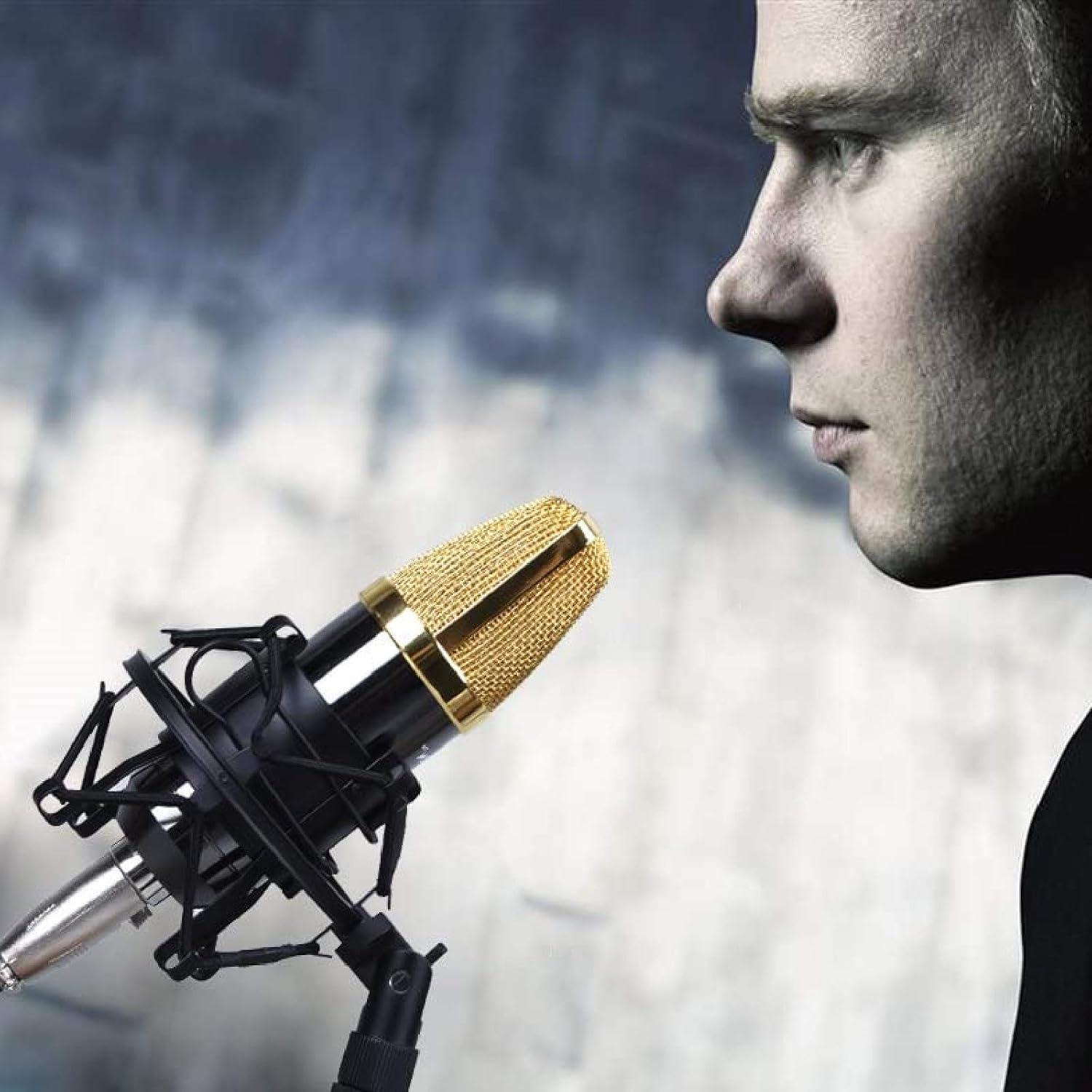 Soporte Antivibración Miwayer para Micrófono 48-54mm Plata