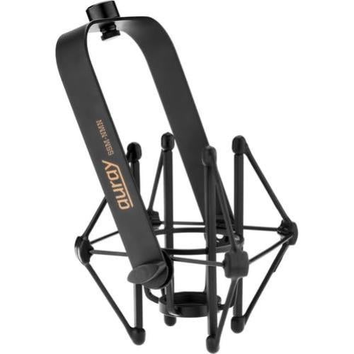 Micrófono de Condensador Neumann TLM-102 Negro con Soporte y Filtro