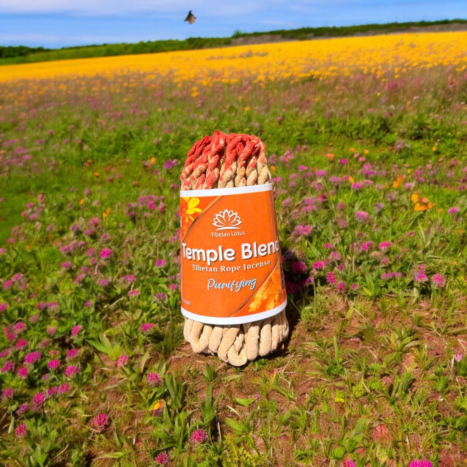 Paquete de Incienso Tibetano Lotus con Quemador Cerámica