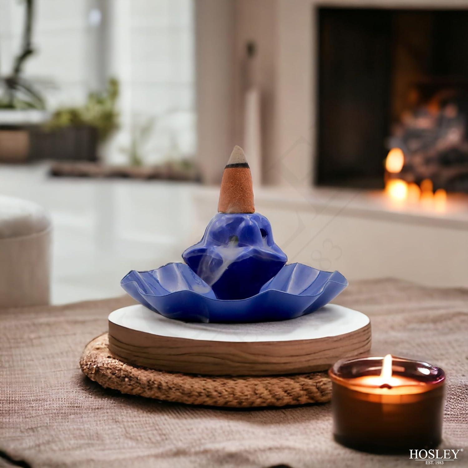 Conos de Incienso Hosley Sangre de Dragón - 120 Unidades