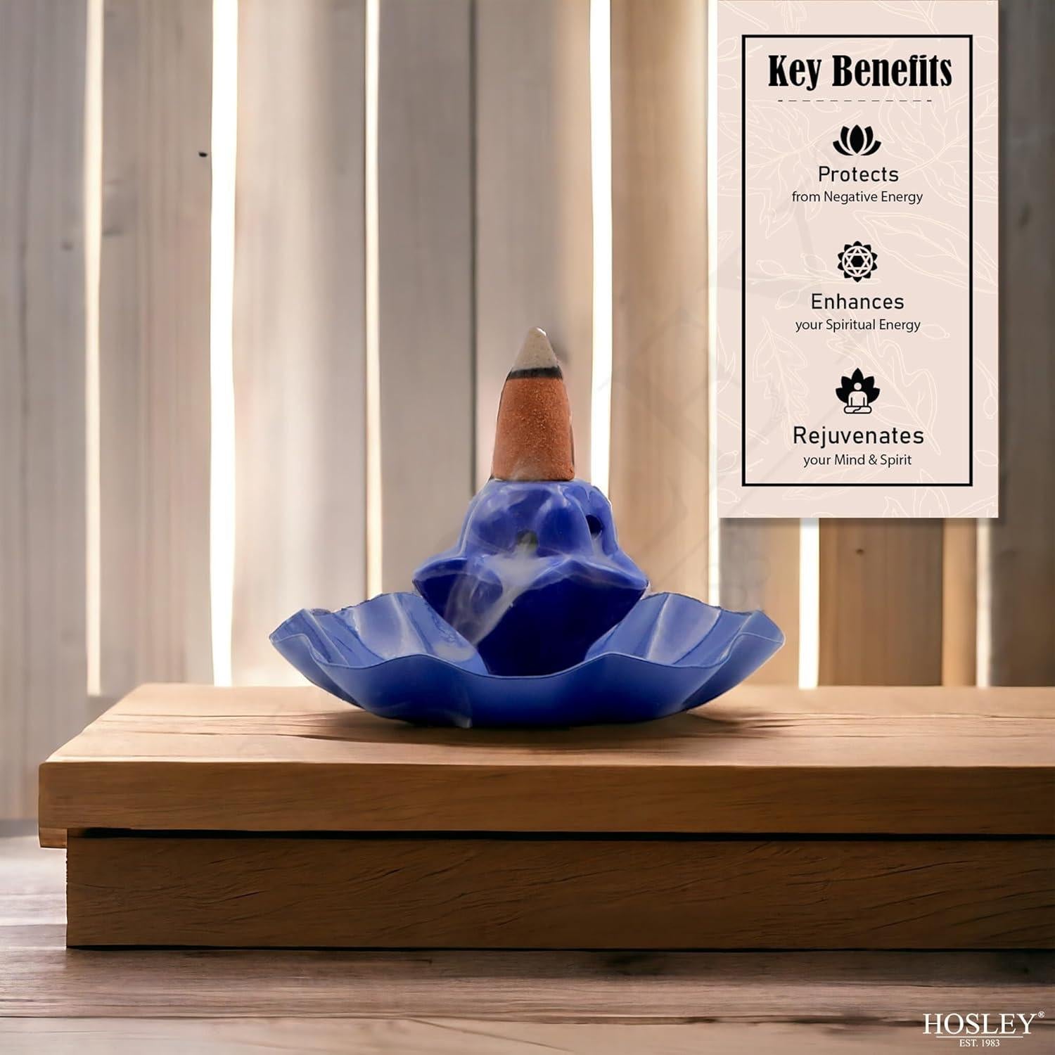 Conos de Incienso Hosley Sangre de Dragón - 120 Unidades