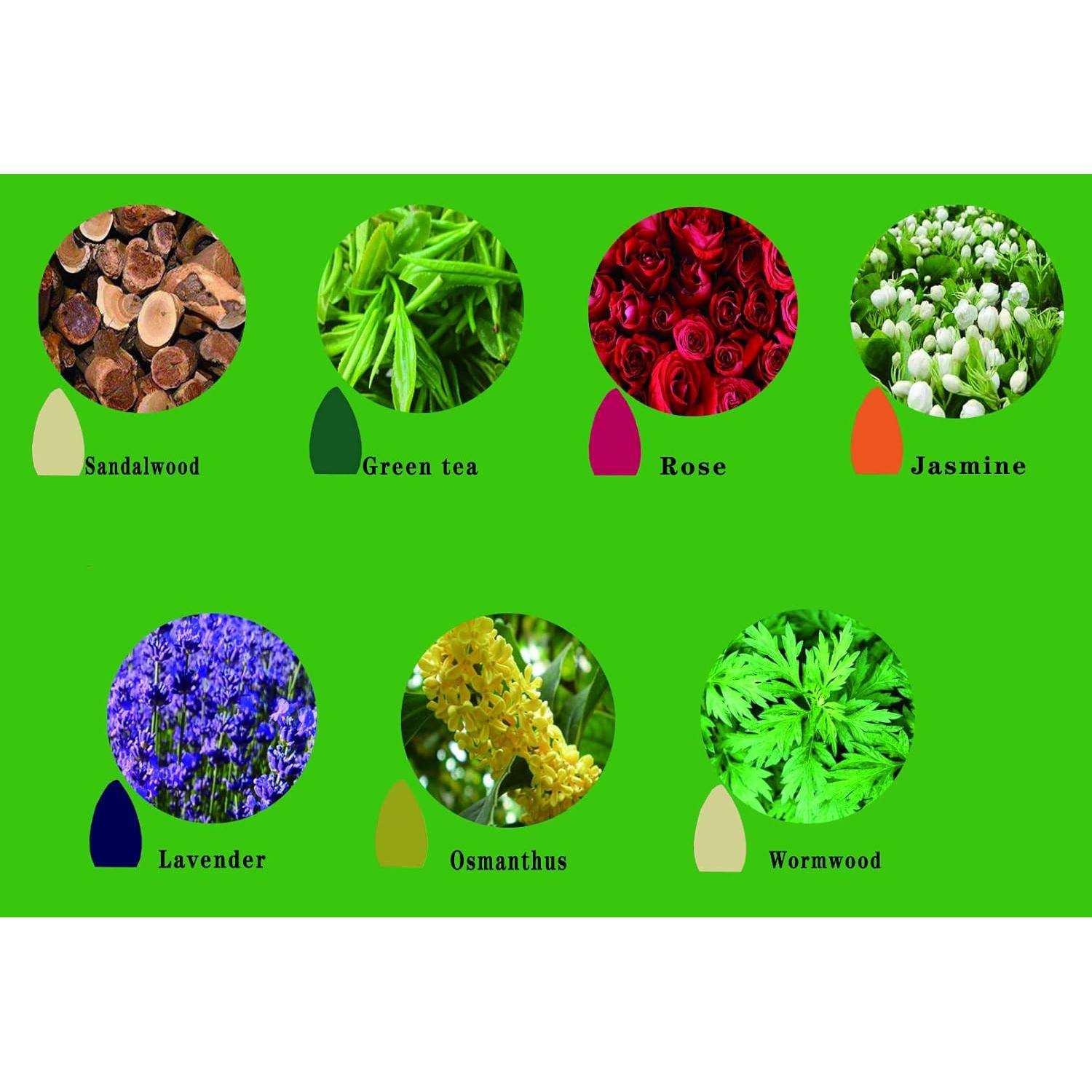 170 Conos de Incienso Retroceso OWMMIZ 7 Aromas Naturales