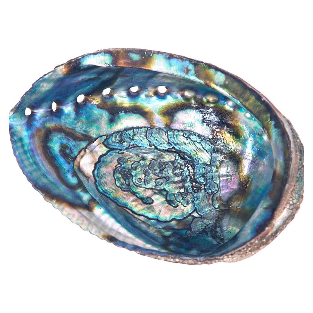 Tazón de Humo Jardín de Incienso 12.7 cm Concha de Abulón