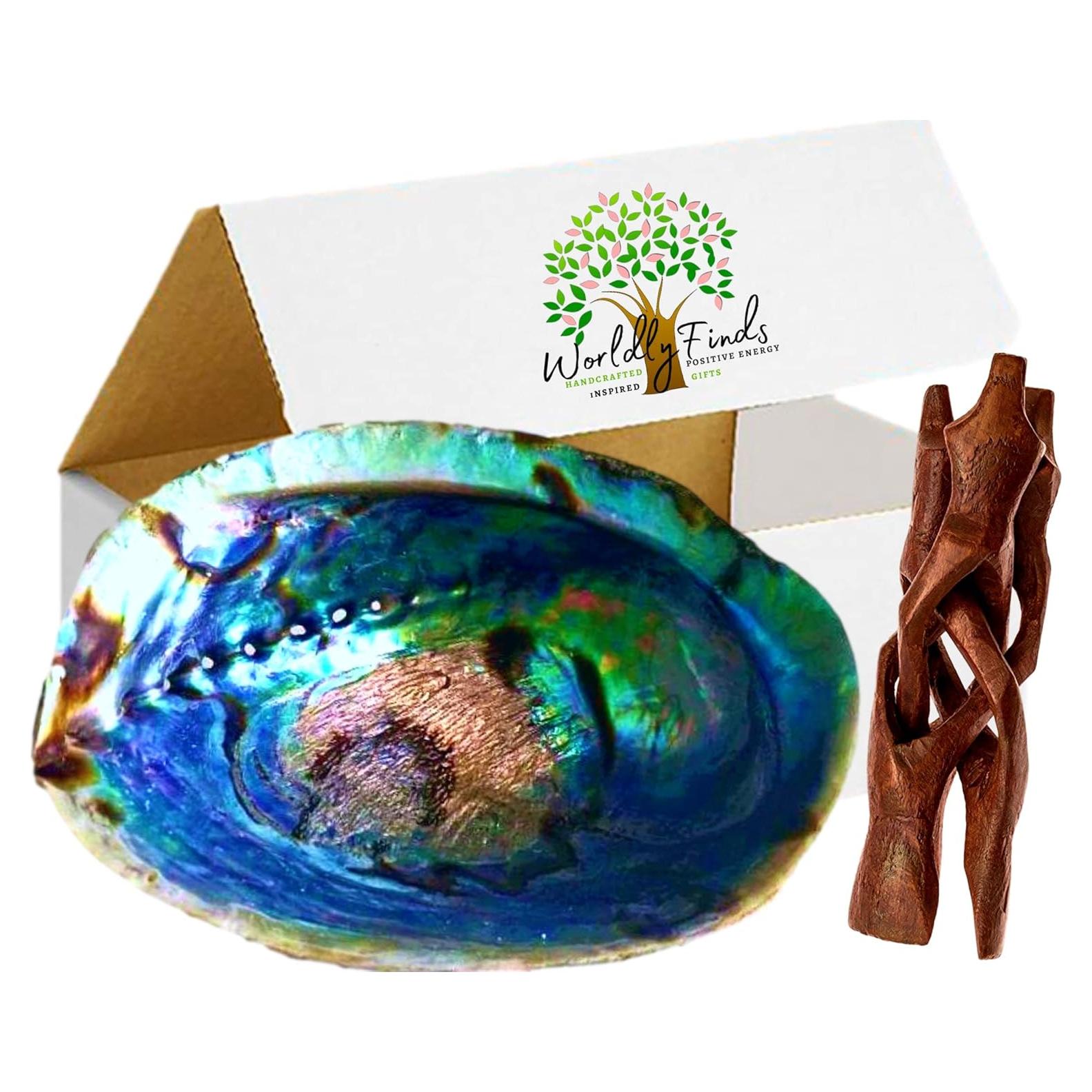 Concha de Abulón Grande 15-18 cm + Soporte de Madera