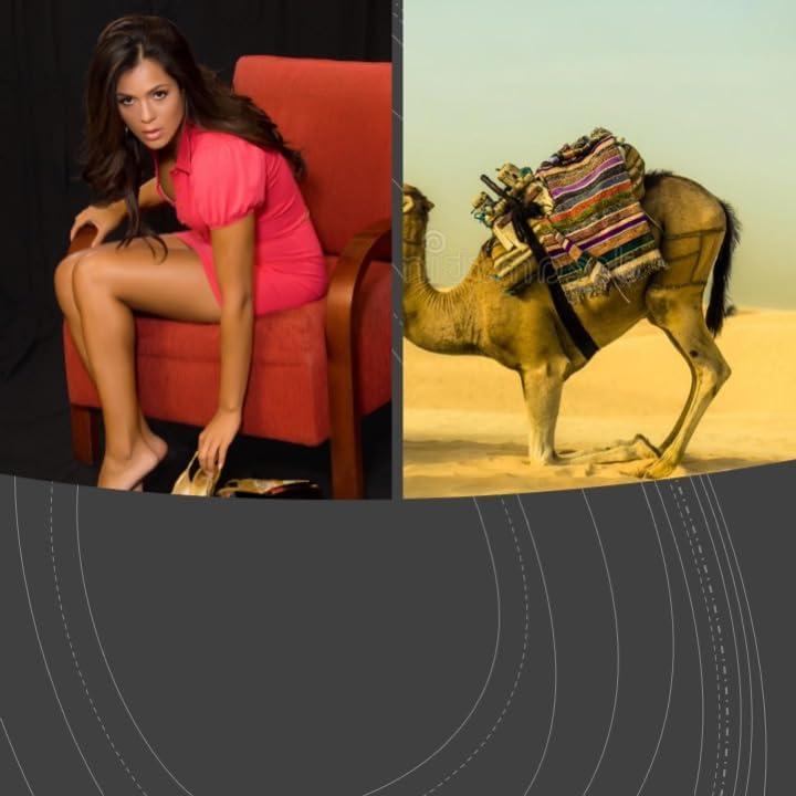 Parche de Terapia Magnética Acumed - 8 Piezas, Hipoalergénico