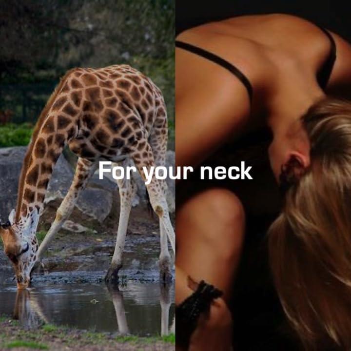 Parche de Terapia Magnética Acumed - 8 Piezas, Hipoalergénico