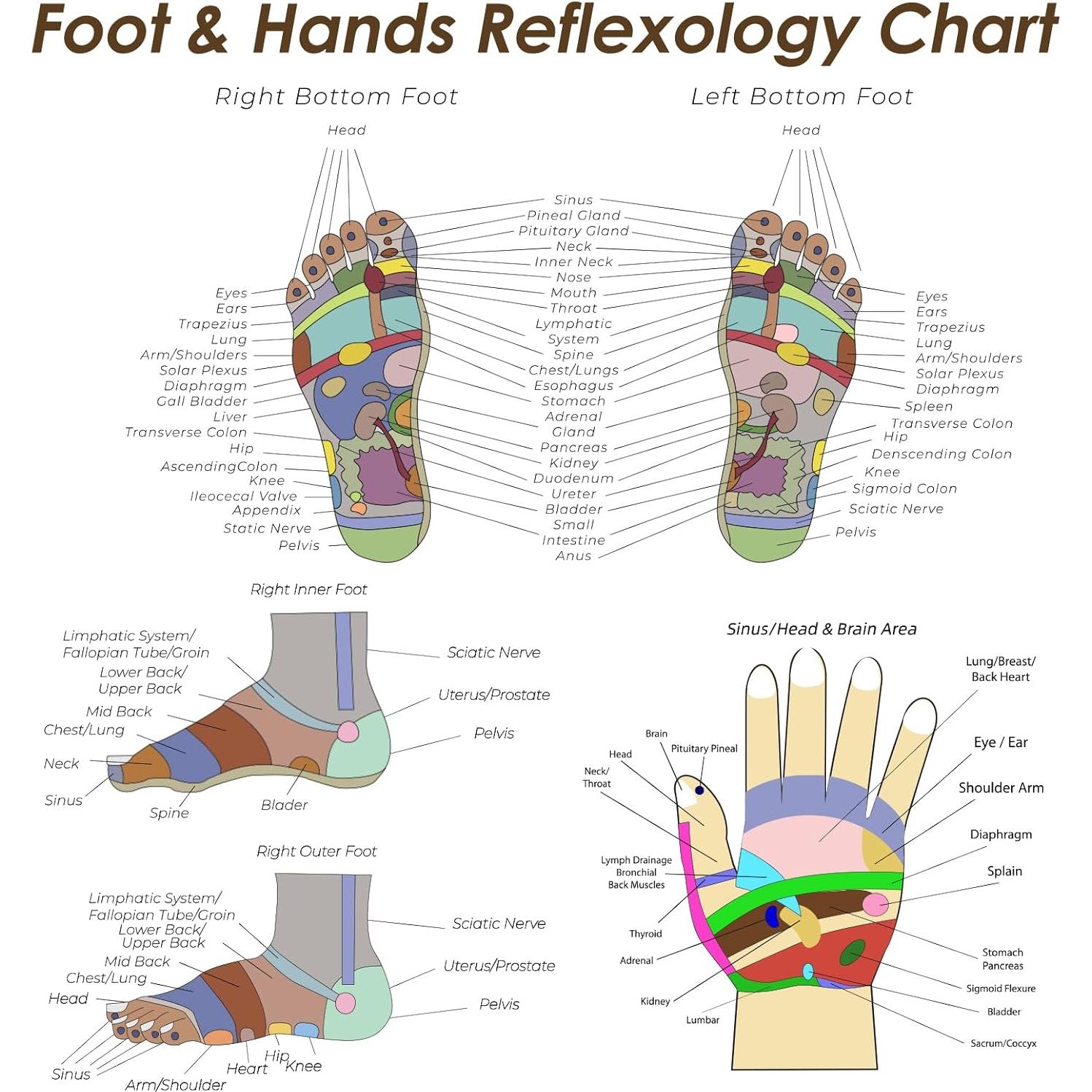 Juego de Calcetines de Reflexología Worive con Guantes - 2 Pares