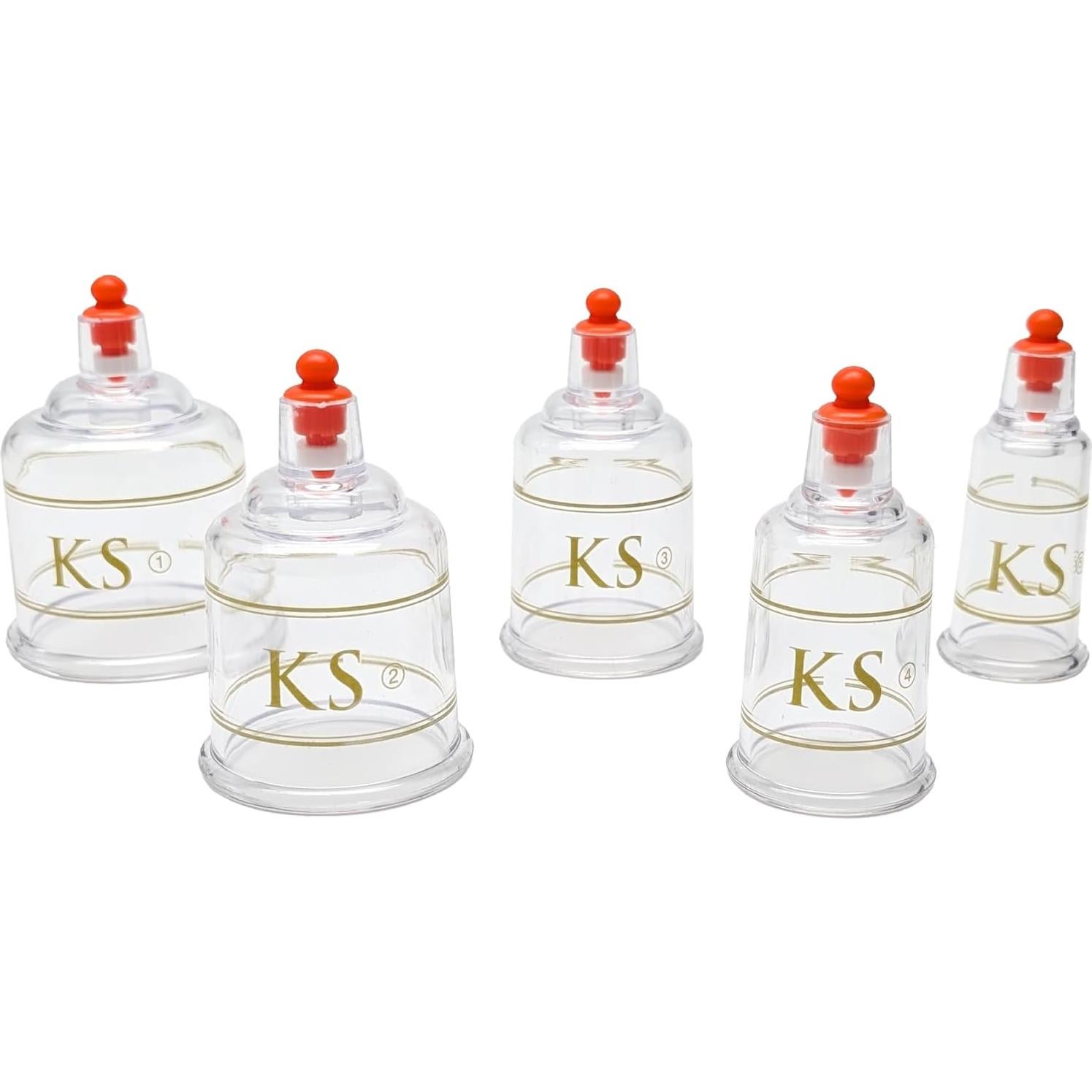 Juego de Ventosas Profesionales KS AG con Bomba y Tubo - 17 Piezas