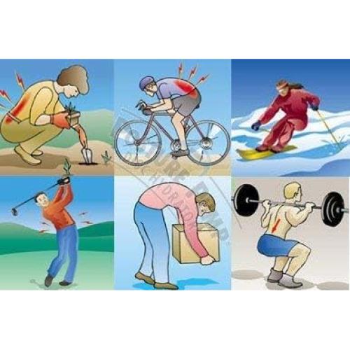 Estirador de Espalda Posture Pump 2000 - Alivio Dolor Lumbar