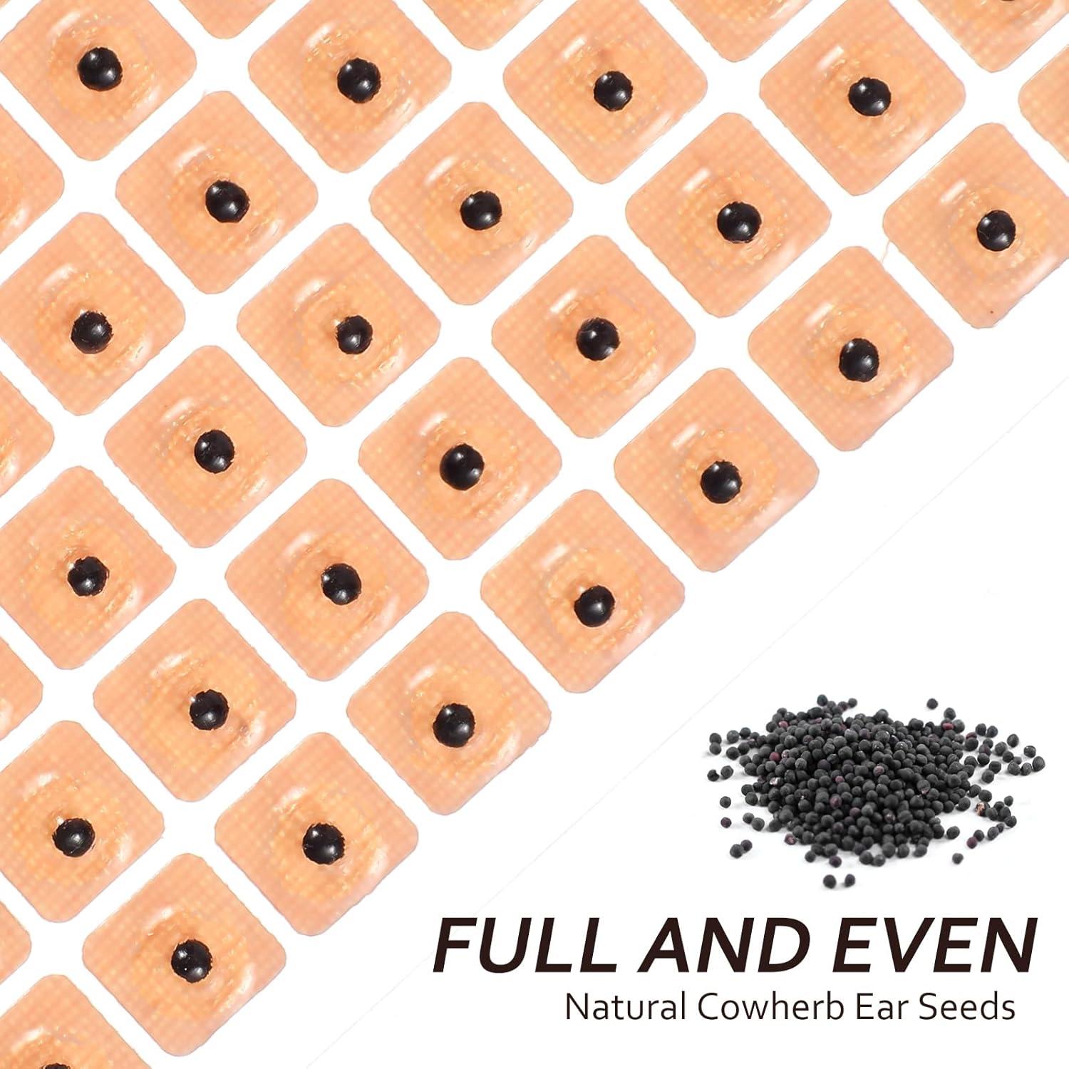 Cuentas Semillas de Vacaria ROSENICE para Acupuntura 600 Piezas