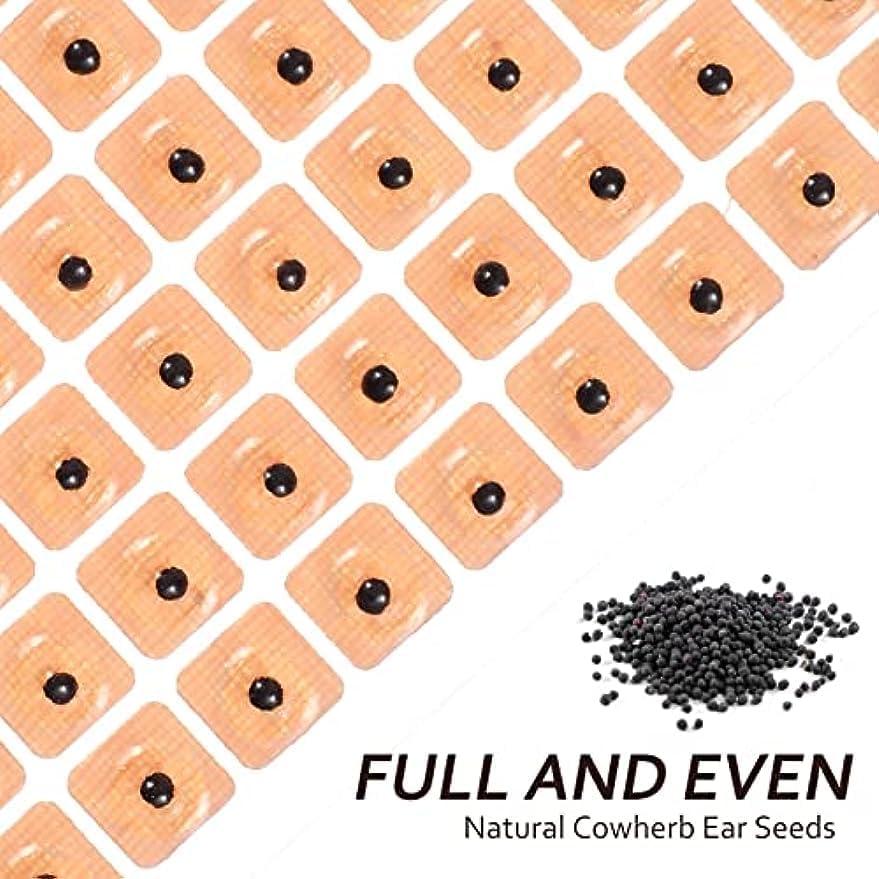 Kit de Acupuntura con 600 Semillas de Oído RCFINE