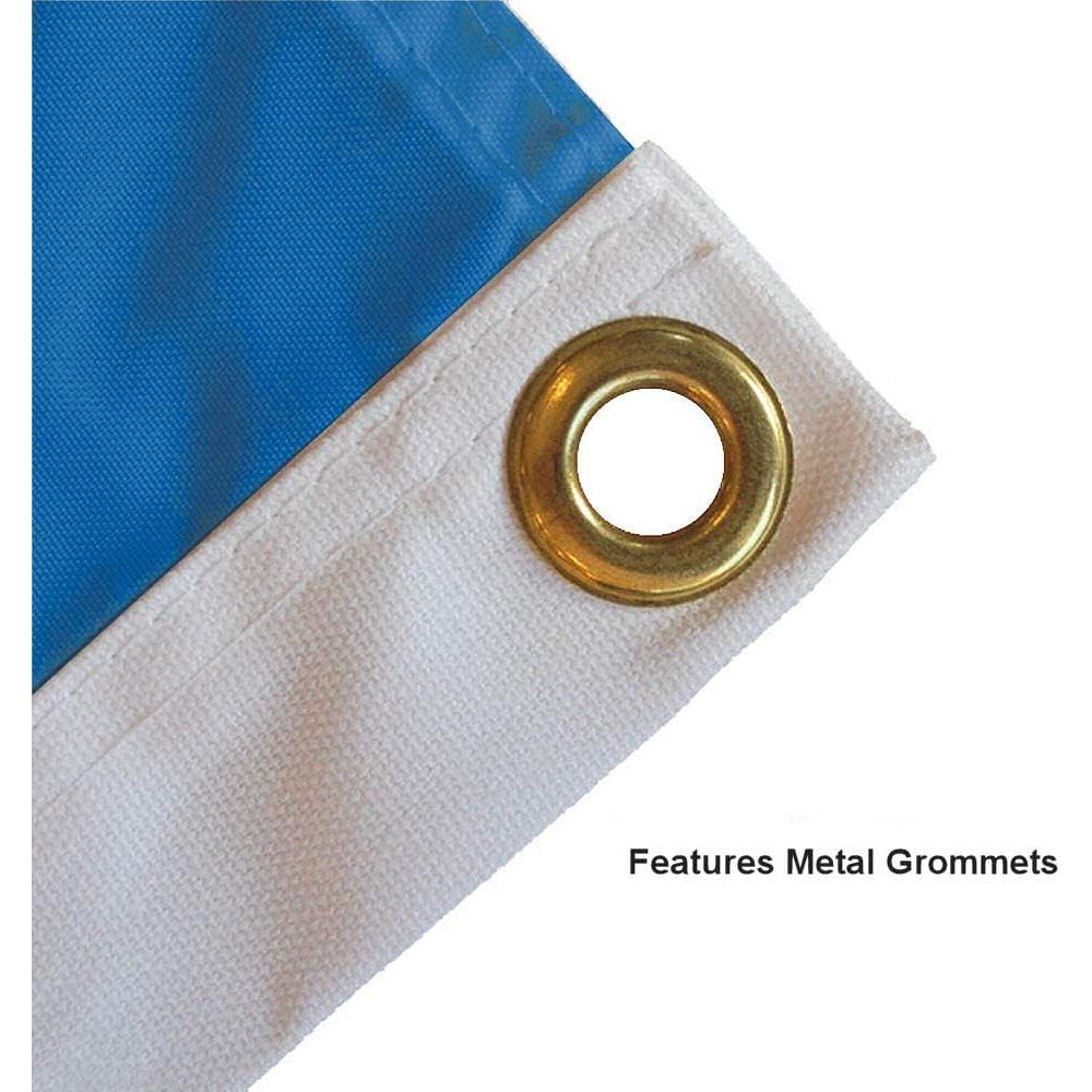 Bandera Pennant Detroit Lions 30x45 cm Poliester 100%