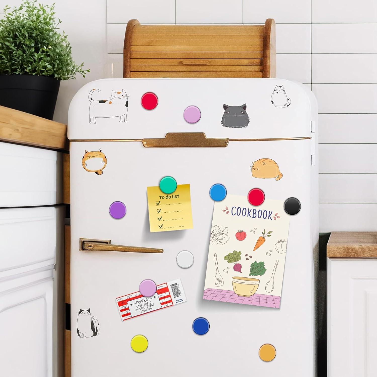 FINDMAG Imanes de Refrigerador 60 Piezas Redondos Colores