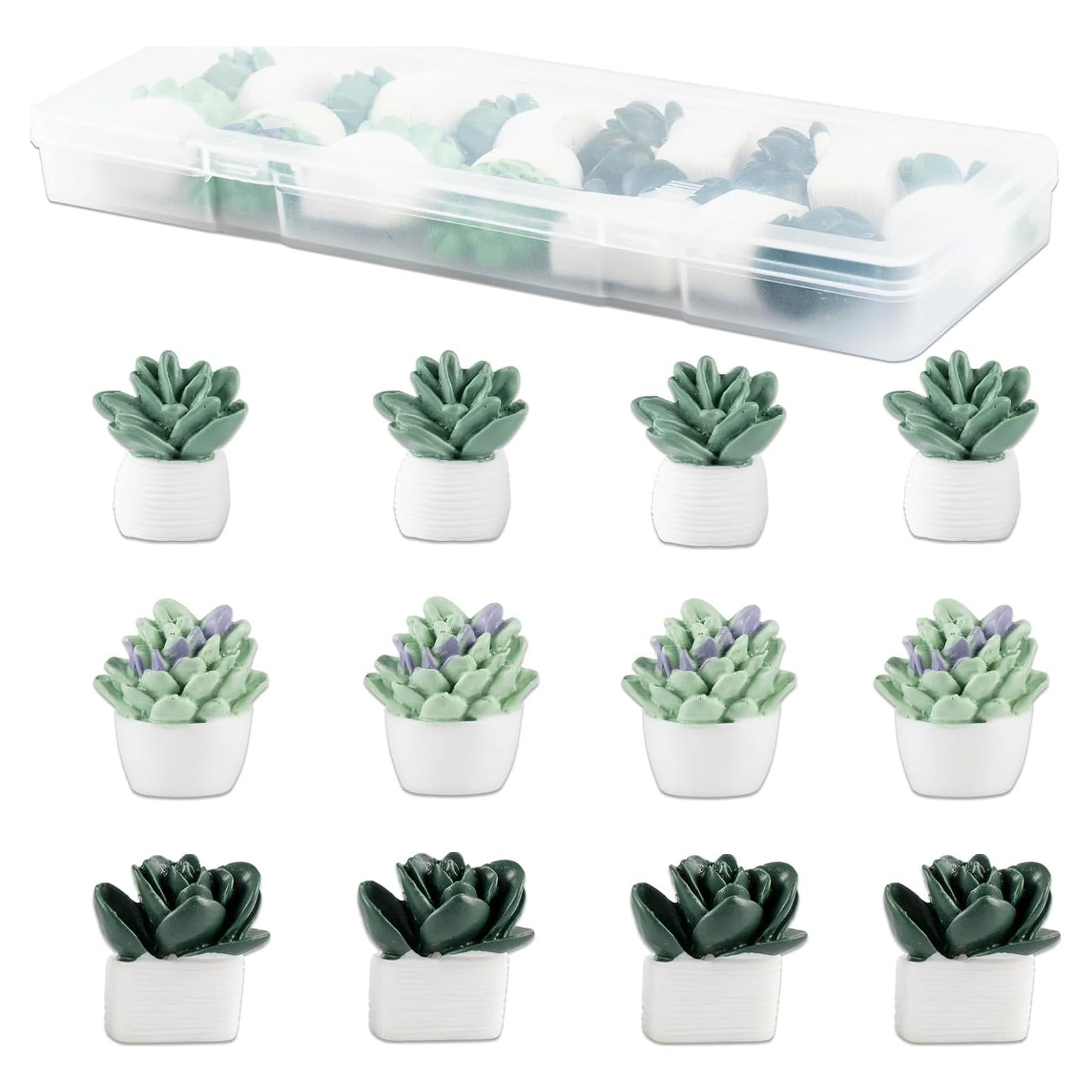 Imanes Suculentas Svartur para Taquilla - 12 Pcs Decorativos