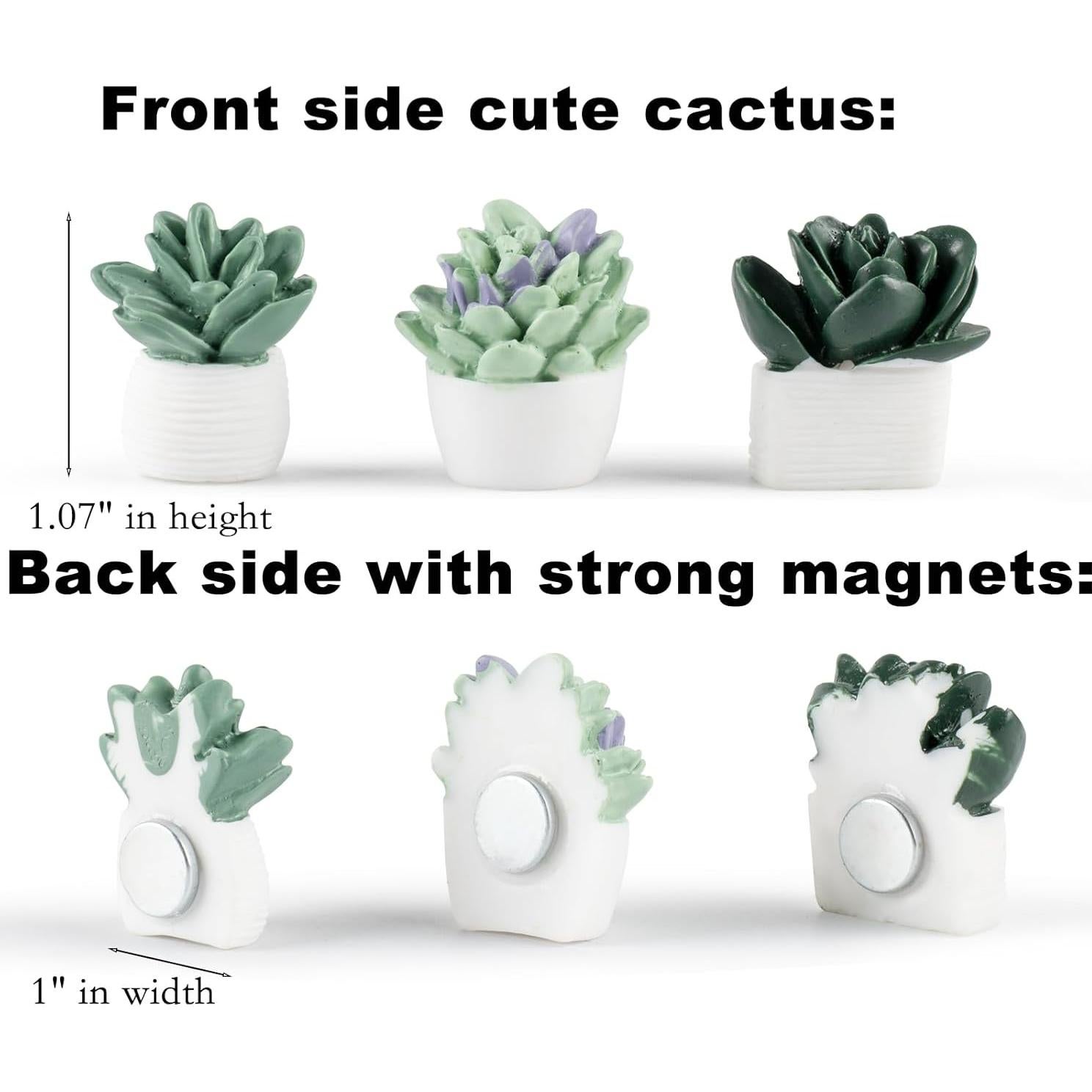 Imanes Suculentas Svartur para Taquilla - 12 Pcs Decorativos