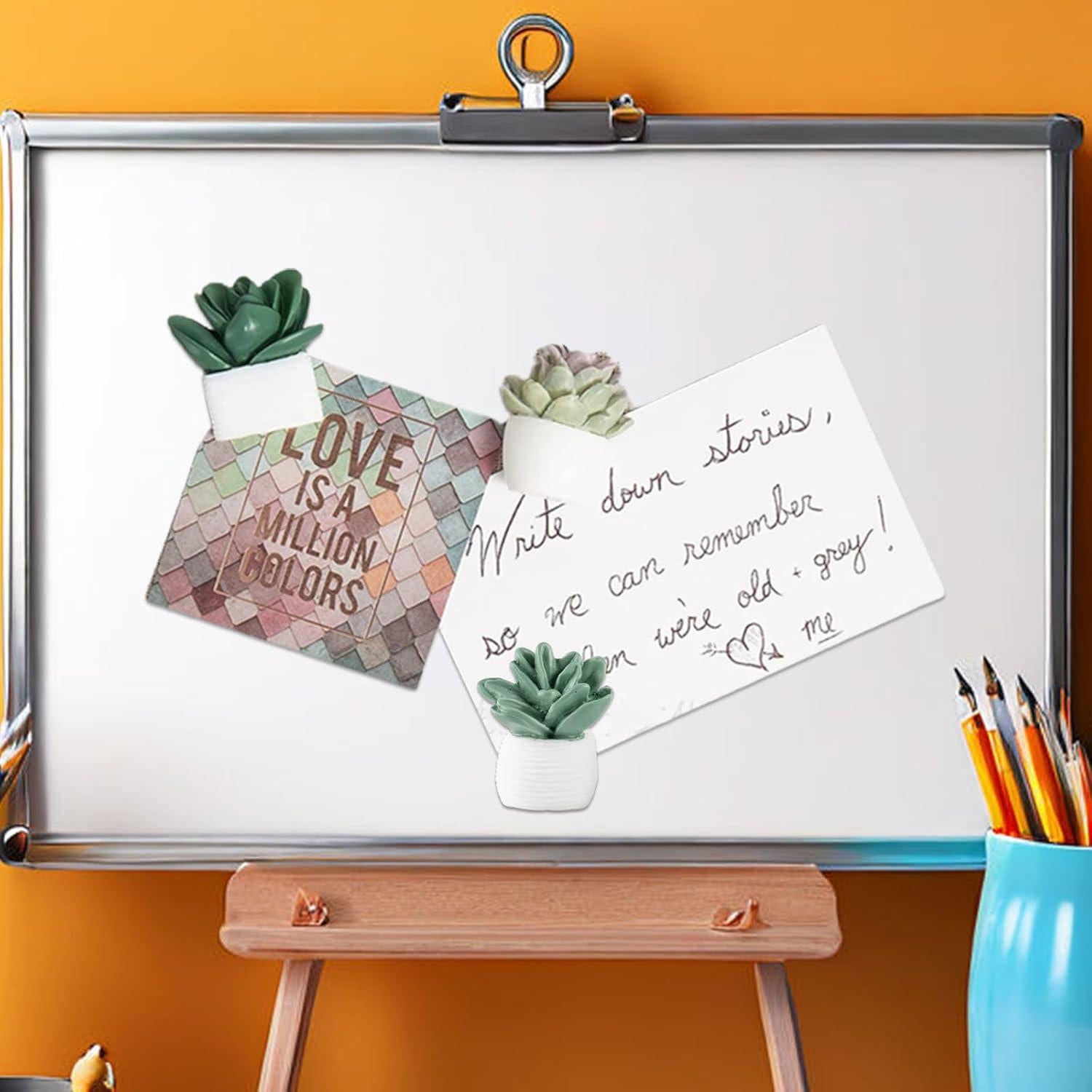 Imanes Suculentas Svartur para Taquilla - 12 Pcs Decorativos