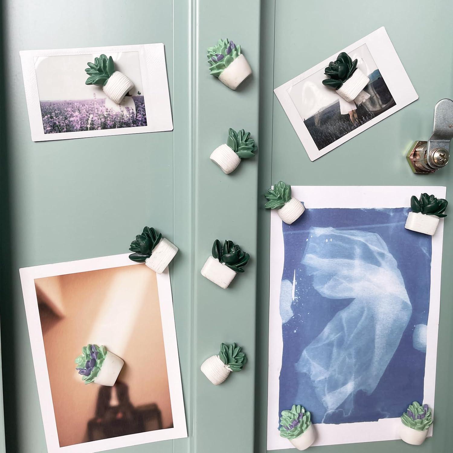Imanes Suculentas Svartur para Taquilla - 12 Pcs Decorativos