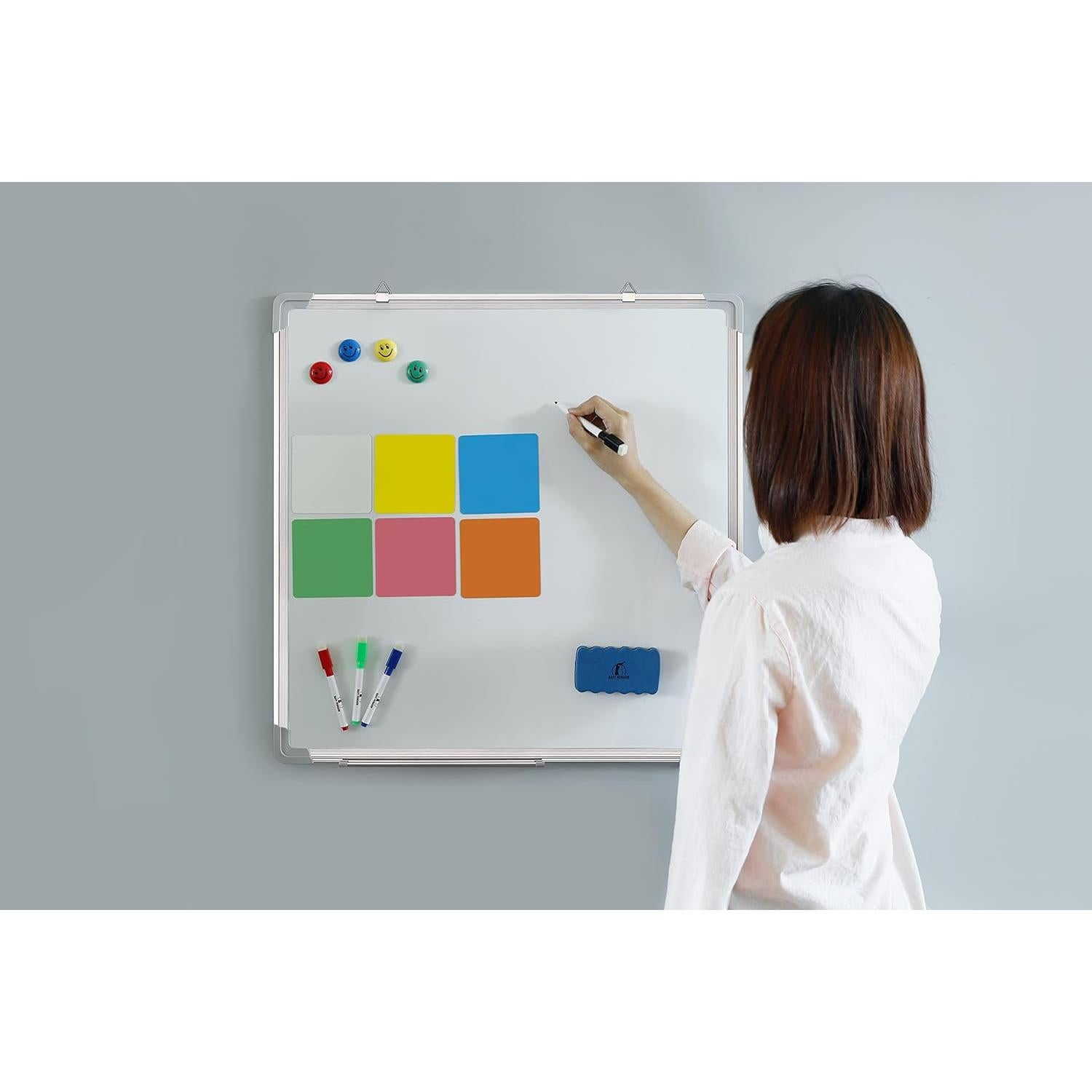 Pizarra Borrable en Seco 61x61 cm Pingüino Marino con Accesorios