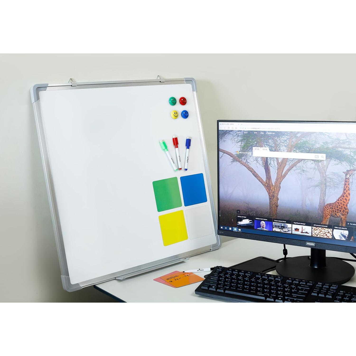 Pizarra Borrable en Seco 61x61 cm Pingüino Marino con Accesorios