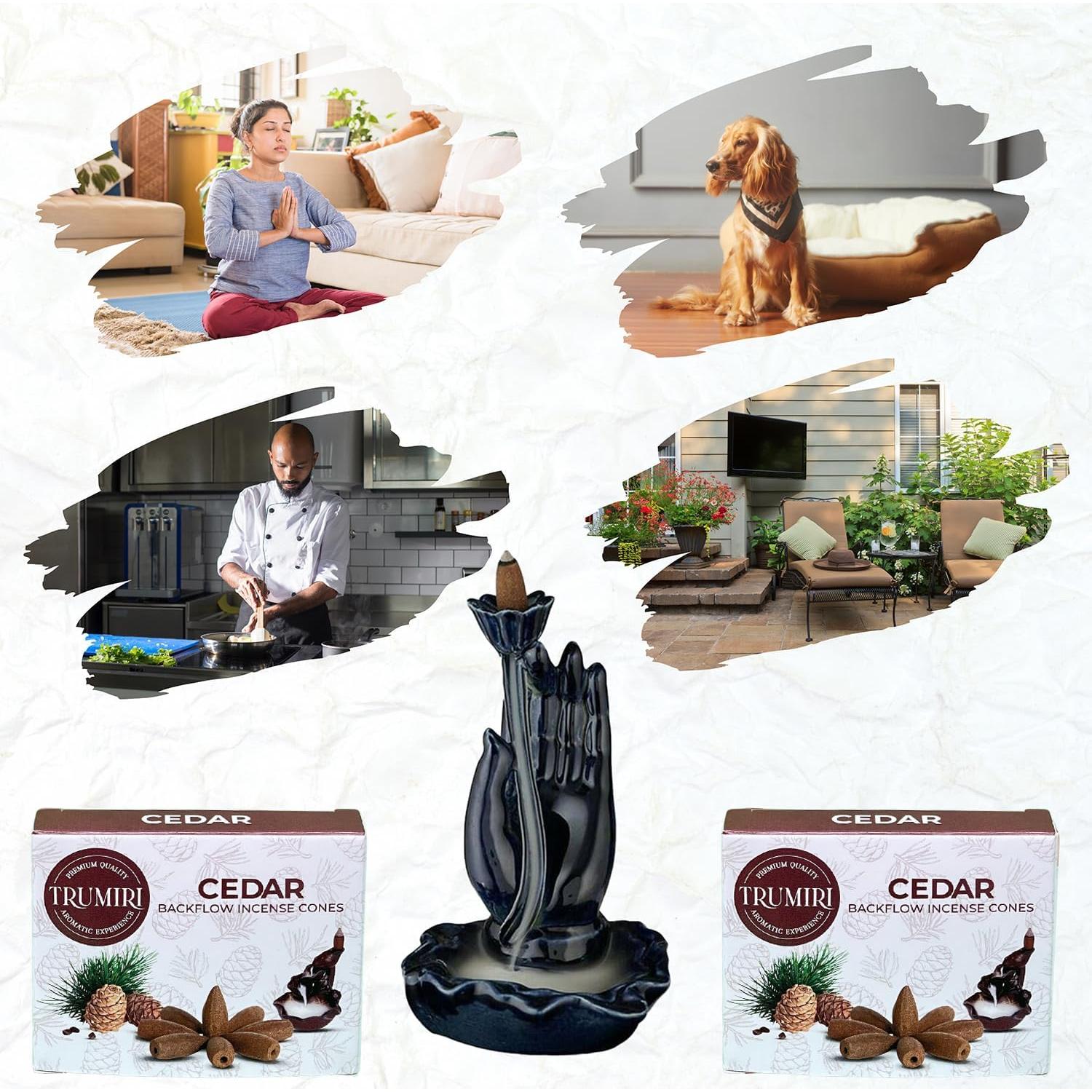 Conos de Incienso de Retroceso TRUMIRI - 60 Unidades Cedro